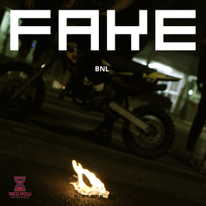 fake