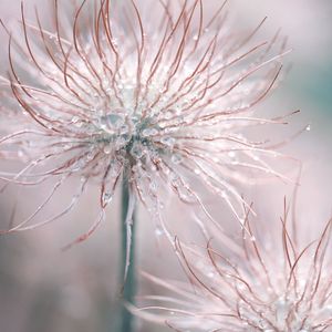 Wavy Sea Sounding Water
