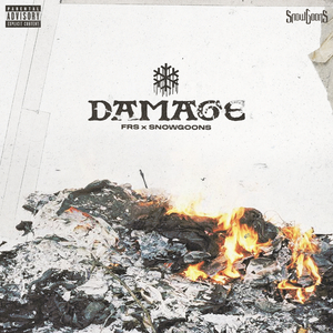 Damage