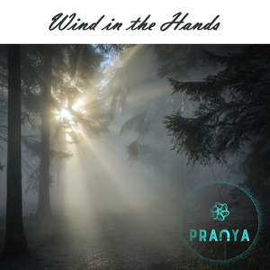 Wind in the Hands