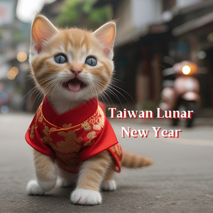 Tasty Tainan, Taiwan 台南小吃