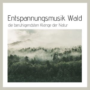 Zwitschernde Grillen