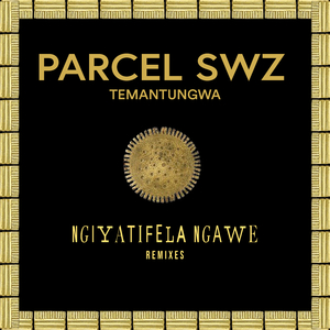 Ngiyatifela Ngawe (Audio Syrup Remix)