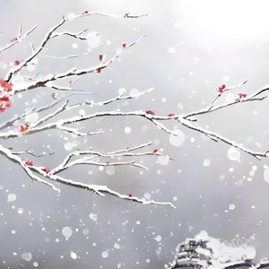 枕月渡尘缘