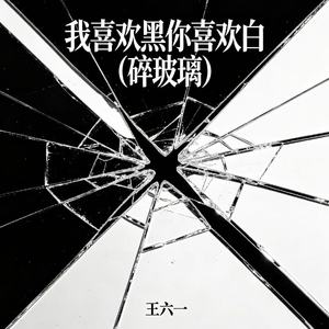 我喜欢黑你喜欢白（碎玻璃）