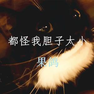 都怪我胆子太小