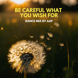 Be Careful What You Wish For ((Dance Mix))