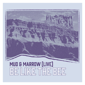 Be Like the Bee (Live)