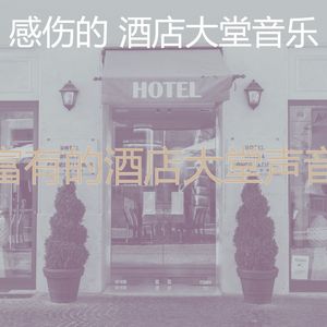 抚慰的酒店酒吧回忆