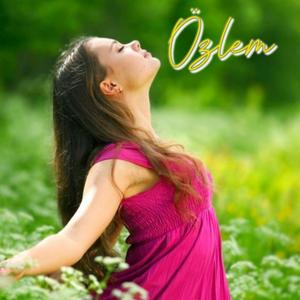 Yanına Geliyorum Aşkım