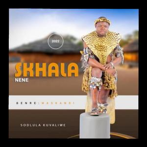 Kuyokhala Insingizi (feat. Madilozi)