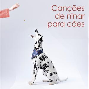 Musicoterapia para cães ansiosos