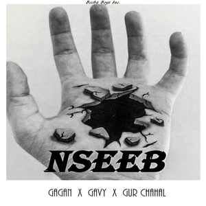 Nseeb