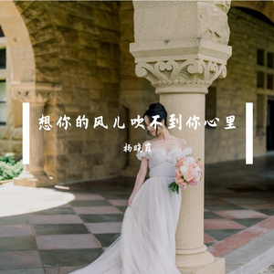想你的风儿吹不到你心里