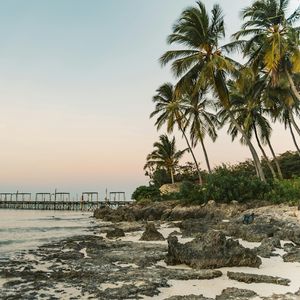 奈何桥边花盛放