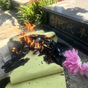 迟归的人