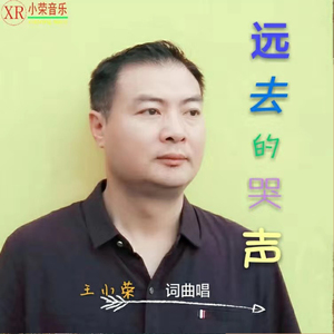 远去的哭声