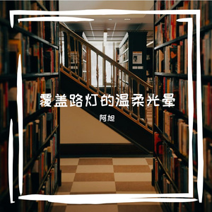 覆盖路灯的温柔光晕