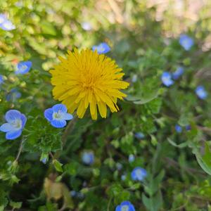 그대라는 이유 (Version2)