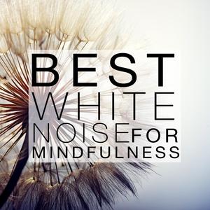 White Noise: Fan Speeds