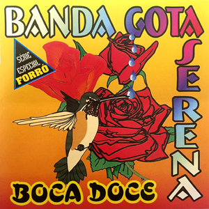Saudade Mensageira