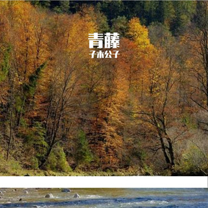 青藤-整曲 伴奏