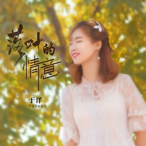 落叶的情意（DJ沈浪版）