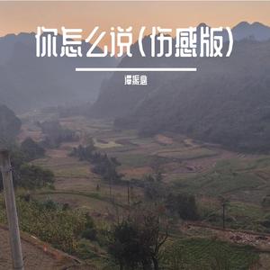 你怎么说（伤感版）
