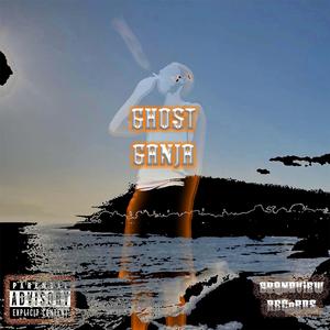 Light Liquids: Monger Mix