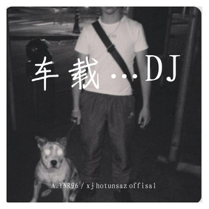 车载…DJ
