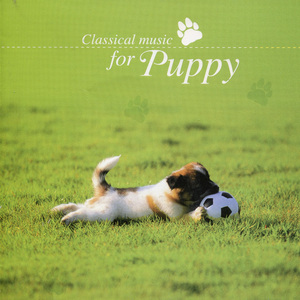 Dvorak: Humoresque op.101