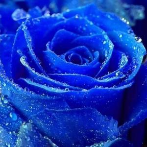 你走后一定要比我幸福.（翻自 石白其）