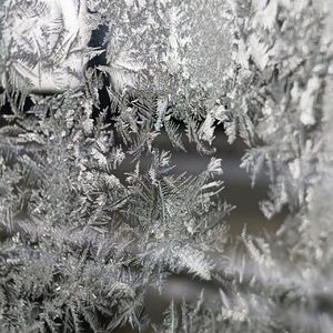 Frosted Window