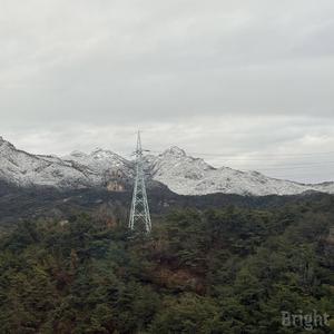 Cunningham (Bright Ver.)