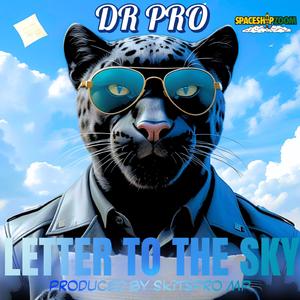 LETTER TO THE SKY (feat. SKITSPRO MP) (Radio Edit)