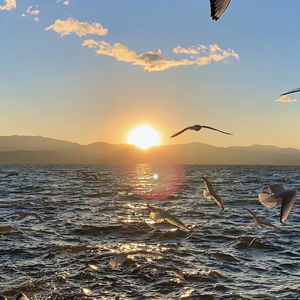 告别prod by Lyoung