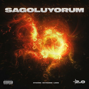 SAGOLUYORUM 2.0