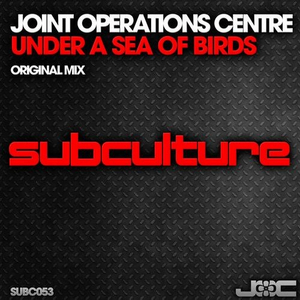 Under a Sea of Birds (Original Mix)