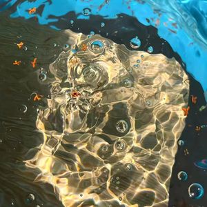 高胜美 - 青青河边草(君悦小表弟 ProgHouse Rmx 2024)