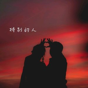 特别的人（纪念:方大同）