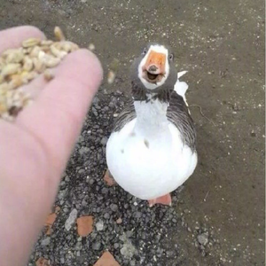 卧室Freestyle（Prod. Simon Marcus)