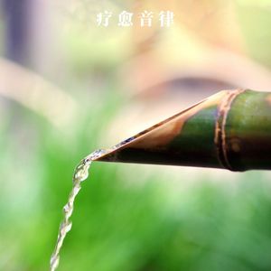 治愈之声 禅心养生