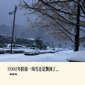 2002年的第一场雪还是飘到了2024年