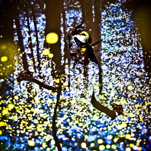 橄榄树(feat.班磊remix)