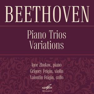 Piano Trio in E-Flat Major, Op. 1 No. 1: I. Allegro