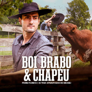 Boi Brabo e Chapéu