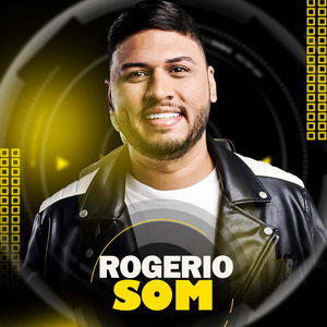 Seu Mentiroso (Cover)