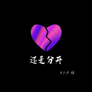还是分开（DJ版）