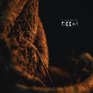 Literal type - the notation of a value (Hertz Collision Remix)