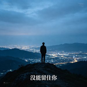 没能留住你